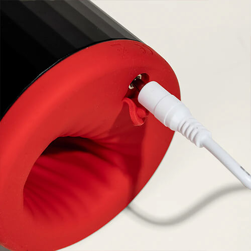 LELO F2S rechargeable