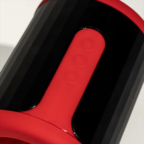 LELO FS2 plusieurs mode